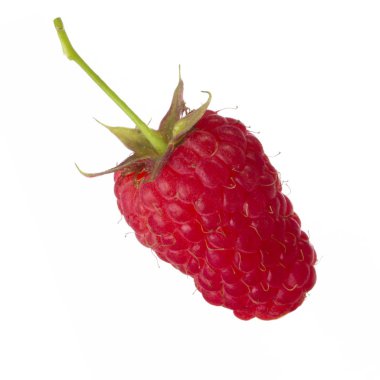 Olgun ahududu yakın çekim 