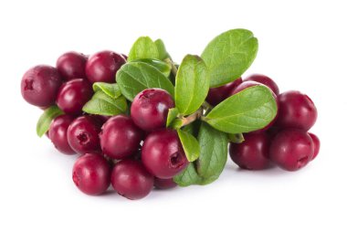 beyaz arka plan üzerinde izole olgun cowberries, yakın çekim  