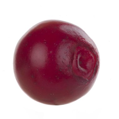 olgun bearberry yakın 