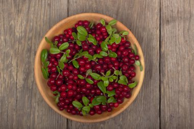olgun bearberry yakın 