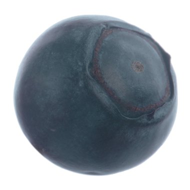 Olgun yaban mersinleri. Kapatın. 