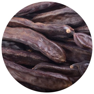 arka planda kuru keçiboynuzu, yakın