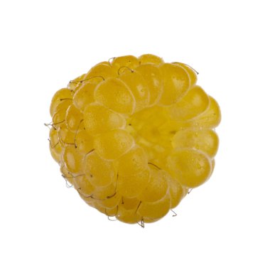 Olgun ahududu yakın çekim 