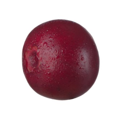 olgun bearberry yakın 