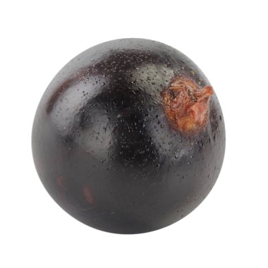 kuş üzümü berry yakın