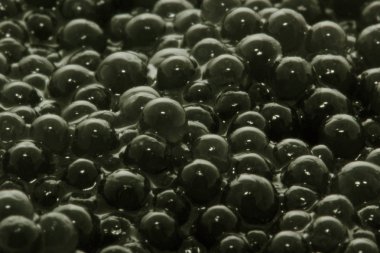 somon balığı yakın çekim 