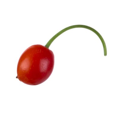 convallaria majalis yakın 