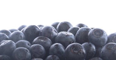 Olgun yaban mersinleri. Kapatın. 