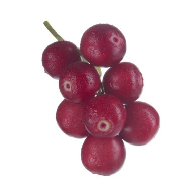 beyaz arka plan üzerinde izole olgun cowberries, yakın çekim  