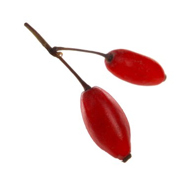 kırmızı böğürtlen beyaz izole