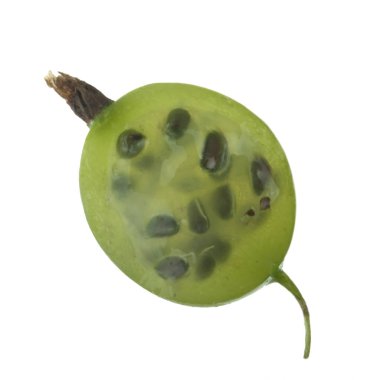 Olgun bektaşi üzümü yakın çekim