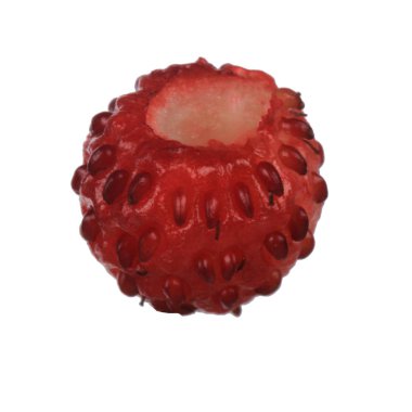 yabani çilek yakın çekim 