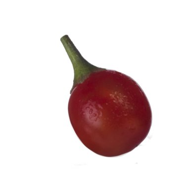 olgun dulcamara yakın