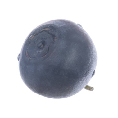 Olgun yaban mersinleri. Kapatın. 