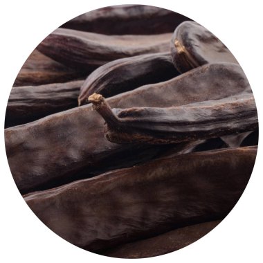 arka planda kuru keçiboynuzu, yakın