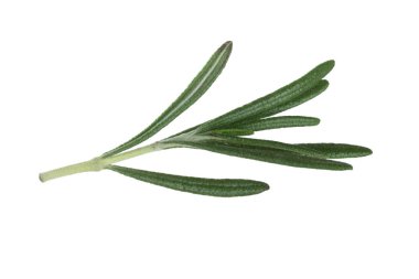 Beyaz arka planda izole biberiye closeup