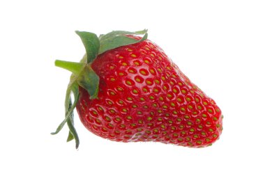 yabani çilek yakın çekim 