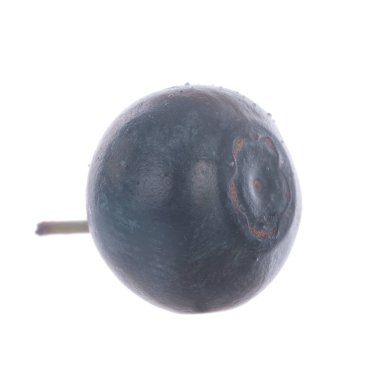 Olgun yaban mersinleri. Kapatın. 