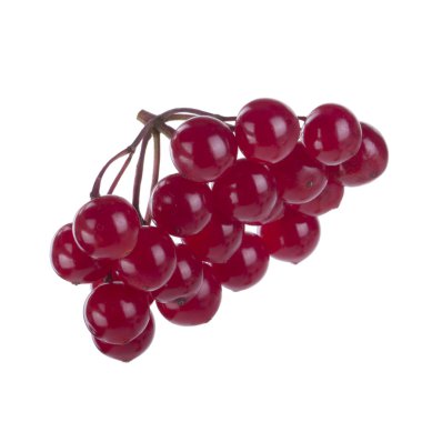 ok ağacı berry yakın 