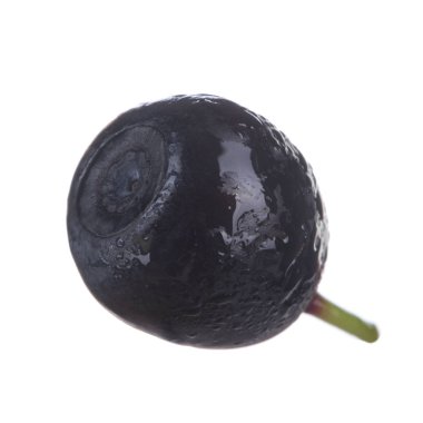 beyaz arka plan üzerinde izole olgun siyah bilberry 