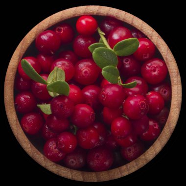 olgun bearberry yakın 