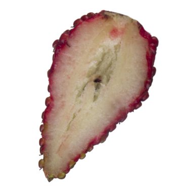 yabani çilek yakın çekim 