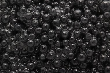 yumurta yakın çekim 