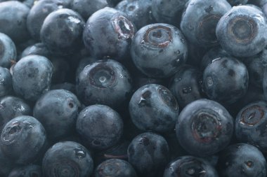 Olgun yaban mersinleri. Kapatın. 