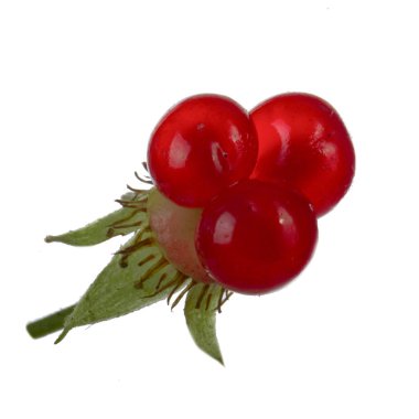 olgun bramble yakın