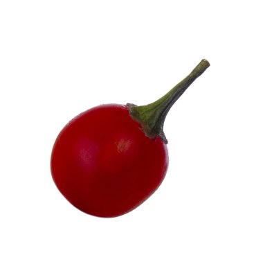 olgun dulcamara yakın