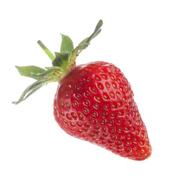 yabani çilek yakın çekim 