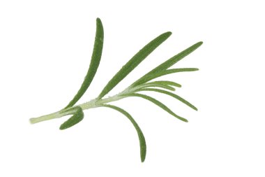 Beyaz arka planda izole biberiye closeup