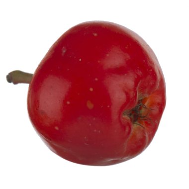 olgun ashberry yakın 