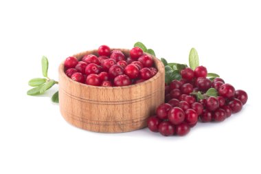 olgun bearberry yakın 