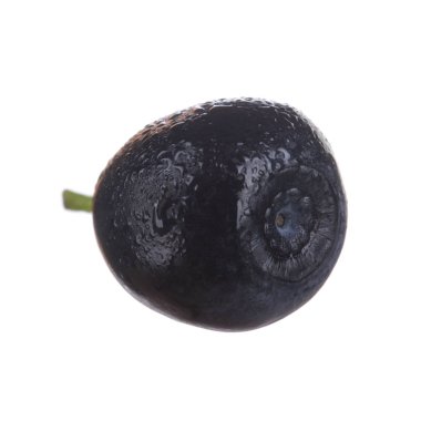 beyaz arka plan üzerinde izole olgun siyah bilberry 