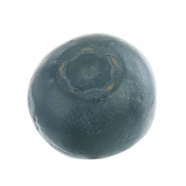 Olgun yaban mersinleri. Kapatın. 