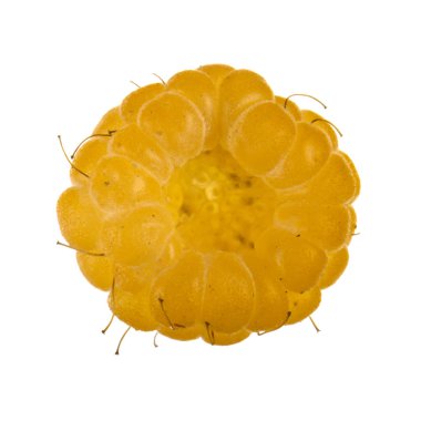 Olgun ahududu yakın çekim 