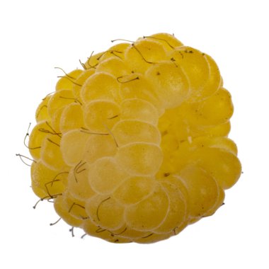 Olgun ahududu yakın çekim 