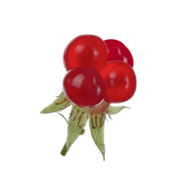 olgun bramble yakın