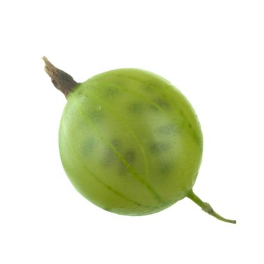 Olgun bektaşi üzümü yakın çekim