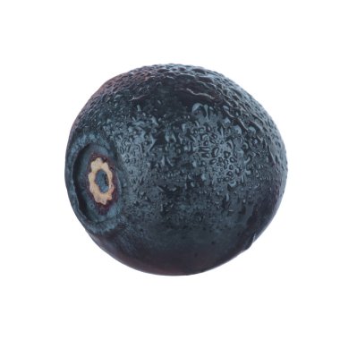 siyah böğürtlen beyaz arka plan üzerinde izole, yakın çekim