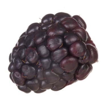 olgun tatlı böğürtlen beyaz arka plan izole, yakın çekim 