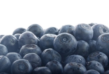 Olgun yaban mersinleri. Kapatın. 