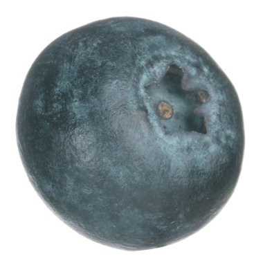 Olgun yaban mersinleri. Kapatın. 