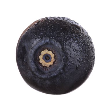 siyah böğürtlen beyaz arka plan üzerinde izole, yakın çekim