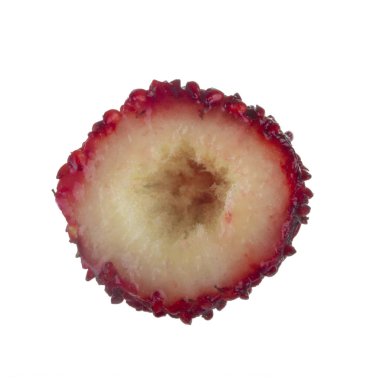 yabani çilek yakın çekim 