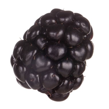 olgun tatlı böğürtlen beyaz arka plan izole, yakın çekim 