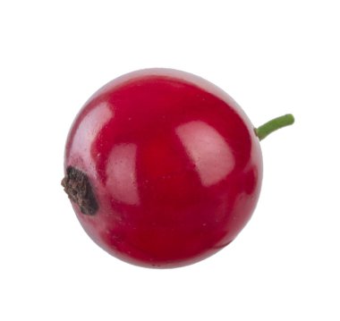 kuş üzümü berry yakın