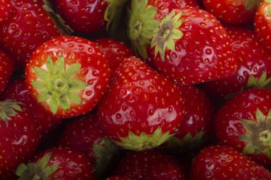 yabani çilek yakın çekim 