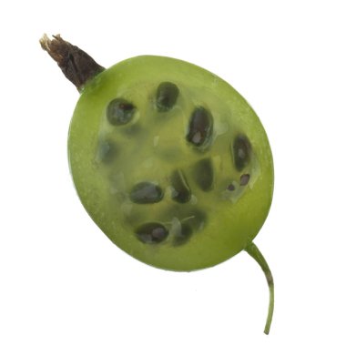 Olgun bektaşi üzümü yakın çekim